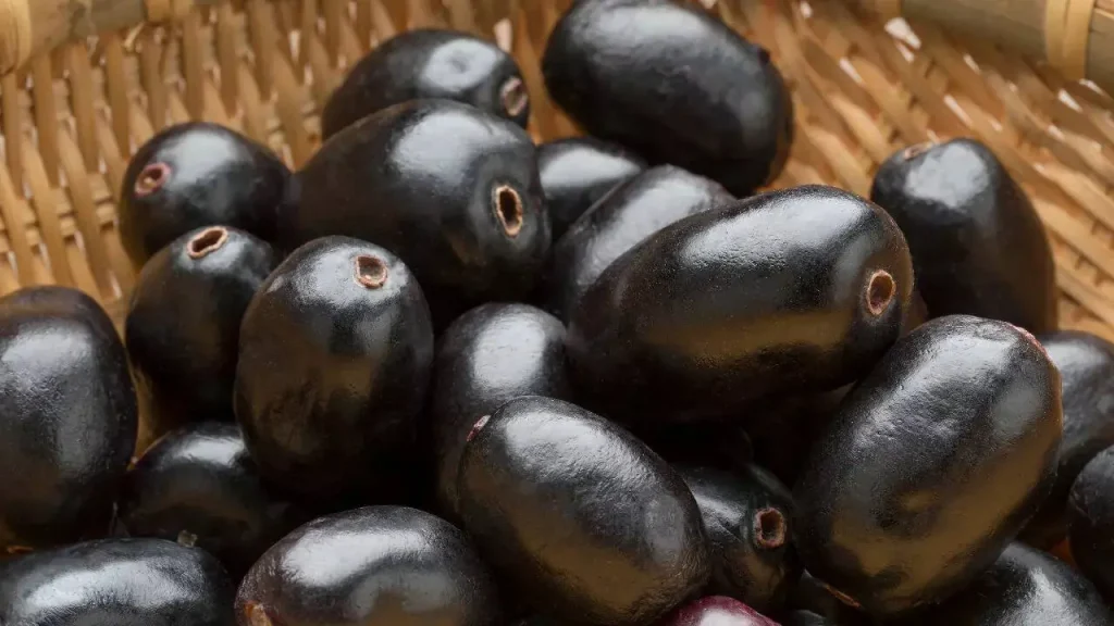 Jamun är populärt i Asien